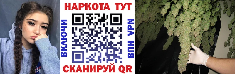Купить закладку Новоузенск ГАШИШ Бутират Псилоцибиновые грибы Меф Каннабис