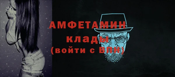 mdpv Бородино