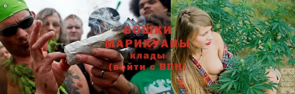 mdpv Бородино